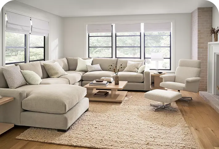 Living room and Dining room cleaning